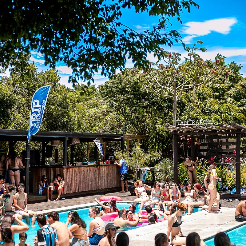 2025-PoolParty5.webp
