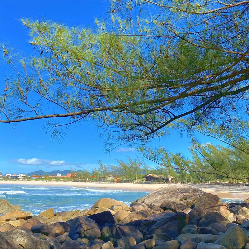 2025-PraiasParadisiacas5.webp