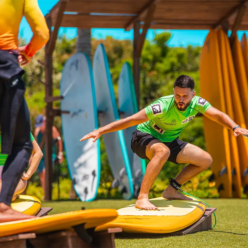 2025-Surfland4.webp