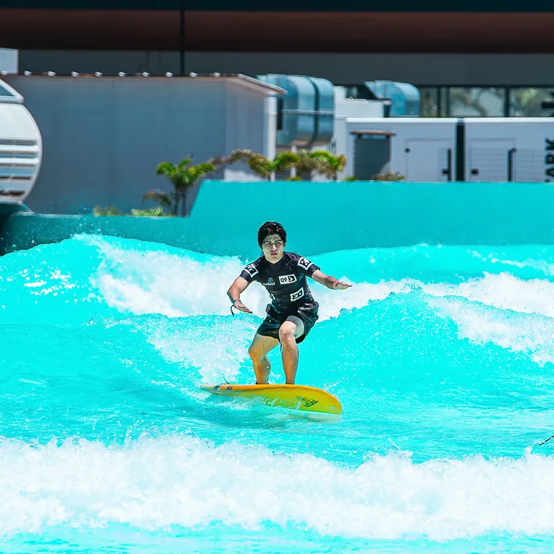 2025-Surfland9.webp